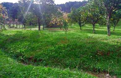 Imagem 9: Sítio à Venda em Canela!