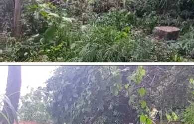 Imagem: O terreno possui 75m² de Área e está localizado em Campo