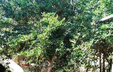 Imagem: A casa possui 5 Dormitórios, 2 Banheiros, 5 Vagas na garagem