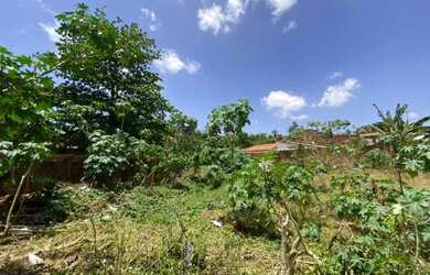 Imagem 5: Área 4500m² - Angelim. 4.500m² de Área