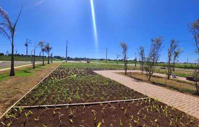 Imagem 4: Terras Alpha 1, quitado. 302m² de Área