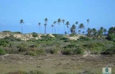 Imagem 4: TERRENO EM CONDE- BA. 77017m² de Área