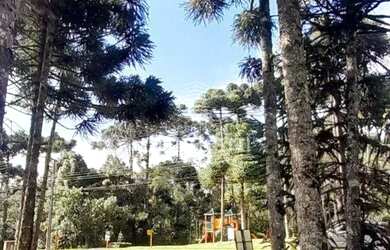 Imagem 4: LINDO TERRENO PLANO NO ASPEN MOUNTAIN