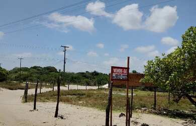 Imagem: A casa possui 411m² de Área e está localizado em Santo Amaro