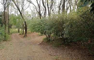 Imagem 4: Galpão em Av 24 de Outubro - São Cristóvão - Medianeira/PR
