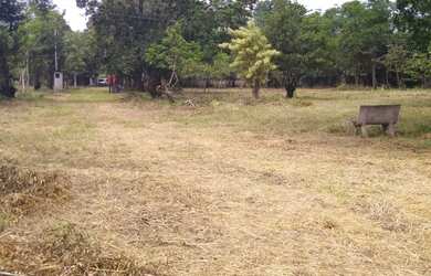 Imagem 16: Lotes espetacular em Aldeia, arborizados, murado, plano, legalizado