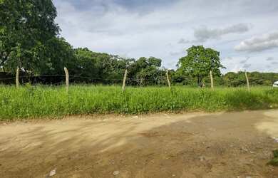 Imagem 13: área maravilhosa em Aldeia, com mas de meio heketare, belíssima vista para mata atlântica!
