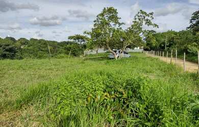 Imagem 16: área maravilhosa em Aldeia, com mas de meio heketare, belíssima vista para mata atlântica!