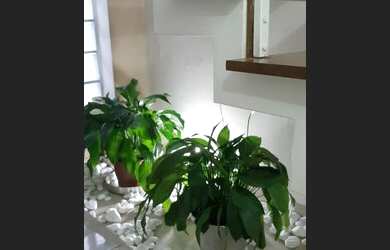 Imagem 5: Amplo Sobrado Isolado no Jardim Santa Cruz Campo Grande