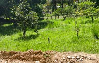 Imagem 5: Pedra de Guaratiba - Terreno plano com 188 m2 em Condominio Fechado