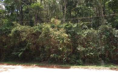 Imagem: O terreno possui 690m² de Área e está localizado em Pau