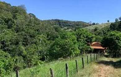 Imagem 5: Fazenda 11 algueire em Aparecida