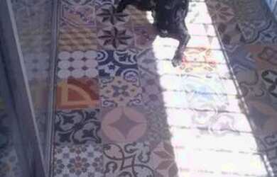 Imagem: O apartamento possui 3 Dormitórios, 2 Banheiros, 1 Vaga na