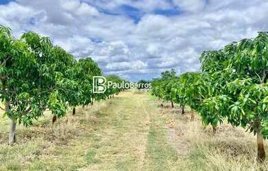 Imagem: A fazenda e está localizado em Centro, Juazeiro à venda por