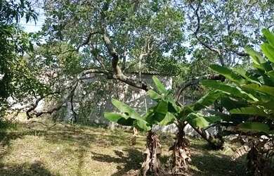 Imagem 3: Lote/Terreno para venda com 600 metros quadrados em Guaratiba - Rio de...