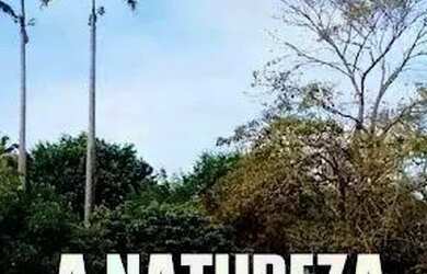 Imagem: O terreno possui 1.211m² de Área e está localizado em Guararema