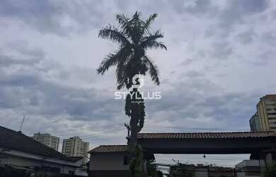 Imagem 4: Taquara Apartamento com 2 dormitórios