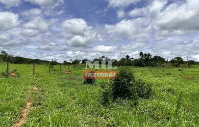 Imagem 12: Beira Rio - Chácara 1.36 alqueires 66.000 metros Santa Cruz de Goiás