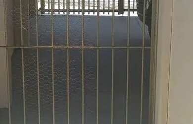 Imagem 8: Alugo Casa na Av Mauá, 115 Centro, com 02 dorms 01 opcional, 2 banhs,...