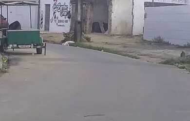 Imagem 3: Casa com Quintal. Varanda, 120m² de Área, 1 Vaga na garageme3 Dormitórios