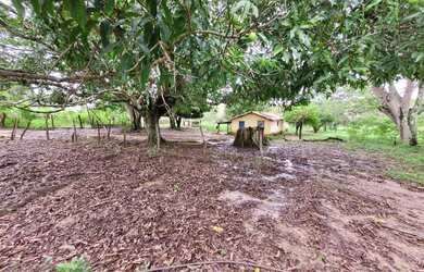 Imagem 14: Fazenda com 3 dormitórios à venda, 484000 m² por R$ 1.300.000,00 -...