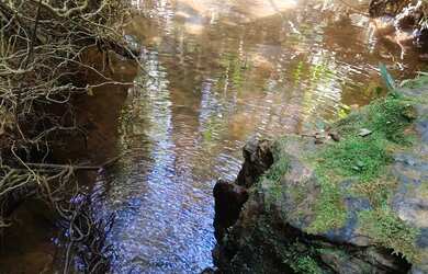 Imagem 10: FAZENDA À VENDA OU ARRENDAMENTO COM 55 HECTARES, NO ALTO PARANAÍBA