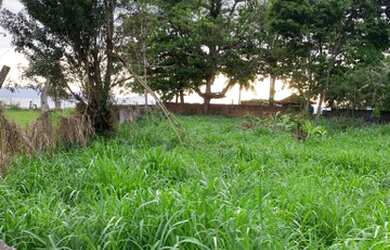 Imagem 14: Raridade Terreno na praia da Verolme 787 metros quadrados