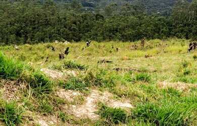 Imagem: O terreno possui 600m² de Área e está localizado em Centro