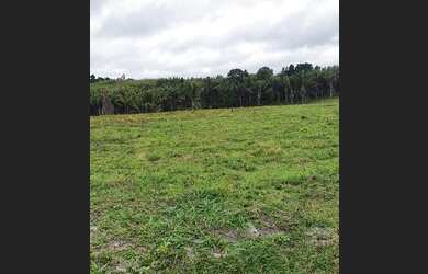 Imagem 12: Terreno a 45km do Aeroporto de Porto Seguro