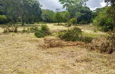 Imagem 3: Lotes espetacular em Aldeia, arborizados, murado, plano, legalizado