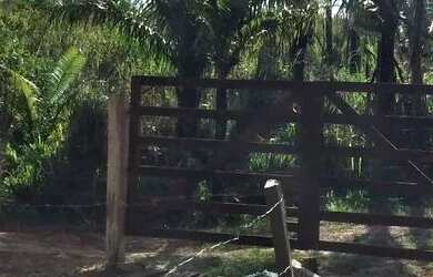 Imagem 8: Lote medindo 10 por 76. 2 Dormitórios