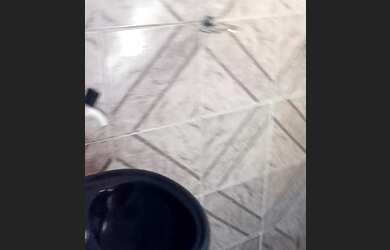 Imagem 4: Aluguel gama df. Varanda, 1 Banheiroe2 Dormitórios