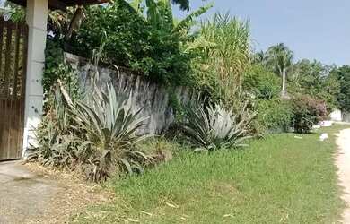 Imagem 5: Lote/Terreno para venda com 600 metros quadrados em Guaratiba - Rio de...