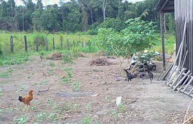 Imagem: A fazenda possui 13.000m² de Área e está localizado em Universal