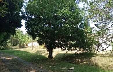 Imagem 6: Lote/Terreno para venda com 600 metros quadrados em Guaratiba - Rio de...