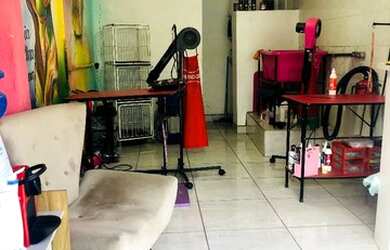 Imagem 1: Petshop passo o ponto. 1 Vaga na garagem