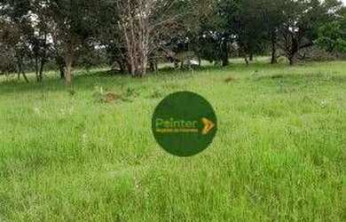 Imagem 3: Fazenda à venda, 193600 m² por R$ 1.600.000 - Zona Rural - Hidrolândia/GO