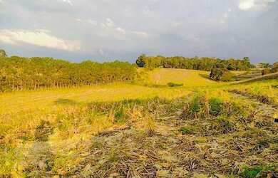 Imagem: O terreno possui 600m² de Área e está localizado em Estância