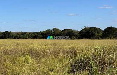 Imagem 10: FAZENDA À VENDA - 165 HECTARES - REGIÃO DE CURVELO MG