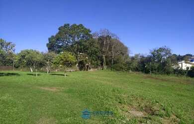 Imagem 11: Terreno a venda bairro Desvio Rizzo com 3.014m²