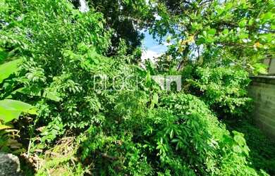 Imagem 11: Vargem Grande Terreno. 2.000m² de Área