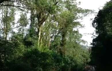 Imagem 3: Terreno de 4800 metros quadrados no bairro Roselândia