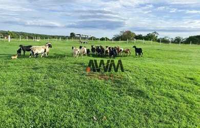 Imagem 2: Fazenda 100 alq. margem da rodovia à venda, 4840000 m² por R$ 20.000.000...