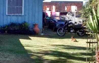 Imagem 1: Terreno com 360,00 m² Jardim Novo Horizonte