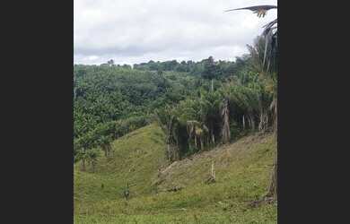 Imagem 6: Terreno a 45km do Aeroporto de Porto Seguro
