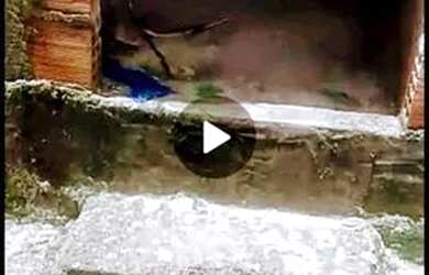 Imagem 4: Vende casa porto dourado. 100m² de Área, 1 Vaga na garageme1 Dormitório