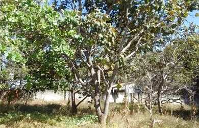 Imagem 13: Chácara Abadia de Goiás