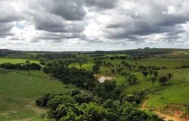 Imagem 12: LINDA FAZENDA DE 44 HECTARES A 45 km de Brasília