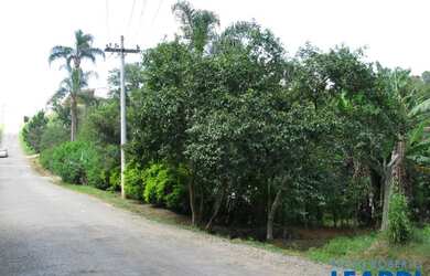 Imagem 9: AREA - LARANJA AZEDA - SP