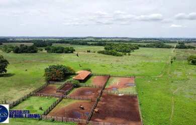Imagem: A fazenda possui 450m² de Área e está localizado em Setor